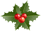 Christmas Holly PNG Clip Art