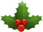 Christmas Holly PNG Clip Art Image