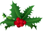 Christmas Holly PNG Clipart