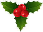 Christmas Holly PNG Clipart