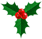 Christmas Holly PNG Image