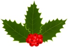 Christmas Holly PNG Transparent Clipart