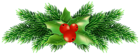 Christmas Holly Pine PNG Clip Art Image