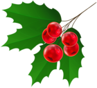 Christmas Holly Transparent Clipart