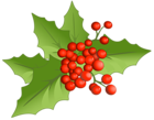 Christmas Large PNG Mistletoe Clipart