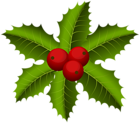 Christmas Mistletoe PNG Clip Art