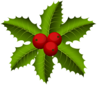 Christmas Mistletoe PNG Clip Art | Gallery Yopriceville - High-Quality