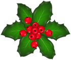 Christmas Mistletoe PNG Clip Art Image