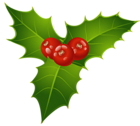 Christmas Mistletoe PNG Clipart