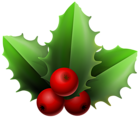 Christmas Mistletoe PNG Clipart Image