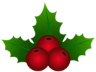 Christmas Mistletoe PNG Transparent Clipart