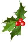 Christmas Mistletoe Picture