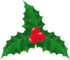Christmas Mistletoe Transparent Clip Art