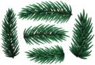 Christmas Pine Branches Clip Art