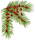 Christmas Pine Corner PNG Clip Art Image