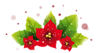 Christmas Poinsetta Decoration PNG Picture