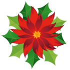 Christmas Poinsettia Clipart