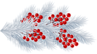 Christmas White Branch Transparent PNG Clip Art