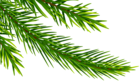 Corner Pine Branch PNG Clip Art Image