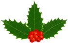 Deco Mistletoe PNG Clipart