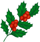 Decorative Mistletoe PNG Clipart