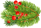 Fir Branch Decoration PNG Christmas Clipart