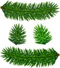 Fir Tree Branches PNG Clipart