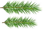 Fir Tree Branches PNG Transparent Clipart