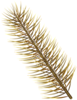 Gold Pine Branch Transparent Png Image