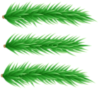 Green Fir Branches PNG Transparent Clipart