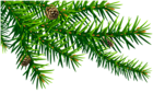 Green Pine Branch PNG Clip Art Image