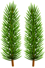 Green Pine Branches PNG Clipart