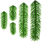 Green Pine Branches Transparent PNG Clip Art