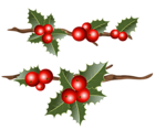 Holly Branches PNG Clipart Image