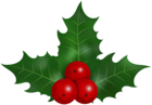 Holly Mistletoe Christmas Clip Art