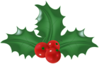 Holly Mistletoe Clip Art Image