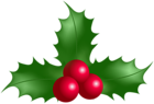 Holly Mistletoe Deco PNG Clipart