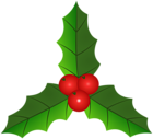 Holly Mistletoe PNG Clipart