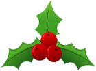 Holly PNG Clip Art Image