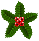 Large Christmas Holly PNG Clip Art Image