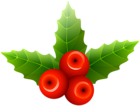 Mistletoe PNG Clip Art Image