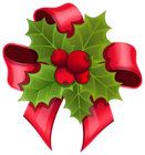 Mistletoe with Red Bow PNG Clipart Image