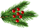 Pine Branch Christmas Clipart