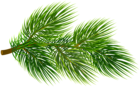 Pine Branch Christmas PNG Clipart