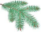 Pine Branch Clip Art Image