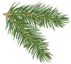 Pine Branch PNG Clip-Art Image