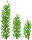 Pine Branch Set Clip Art