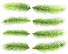Pine Branch Set Clip Art Image