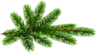 Pine Branch Transparent Clip Art
