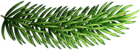 Pine Branch Transparent PNG Clip Art